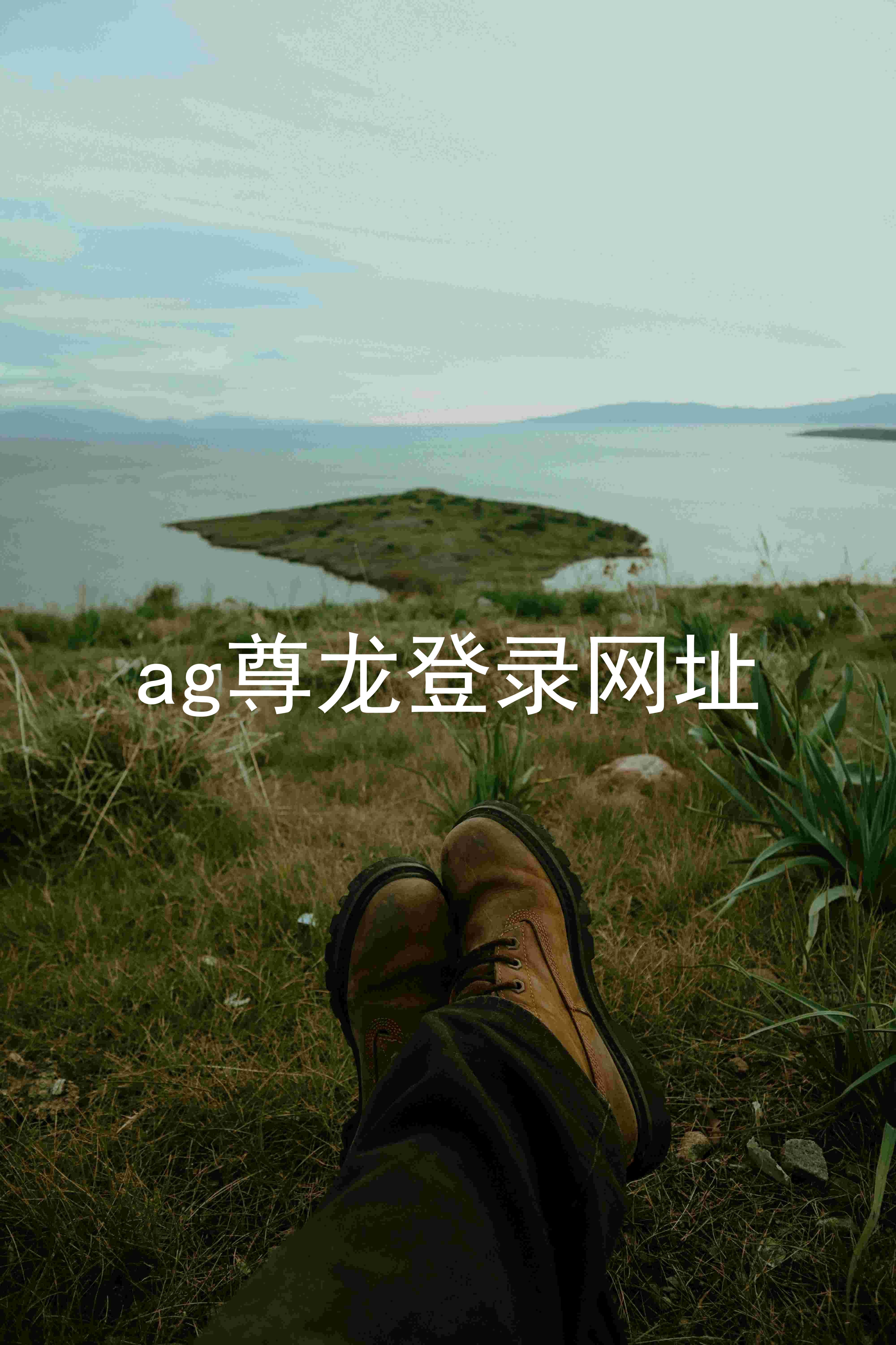 ag尊龙登录网址