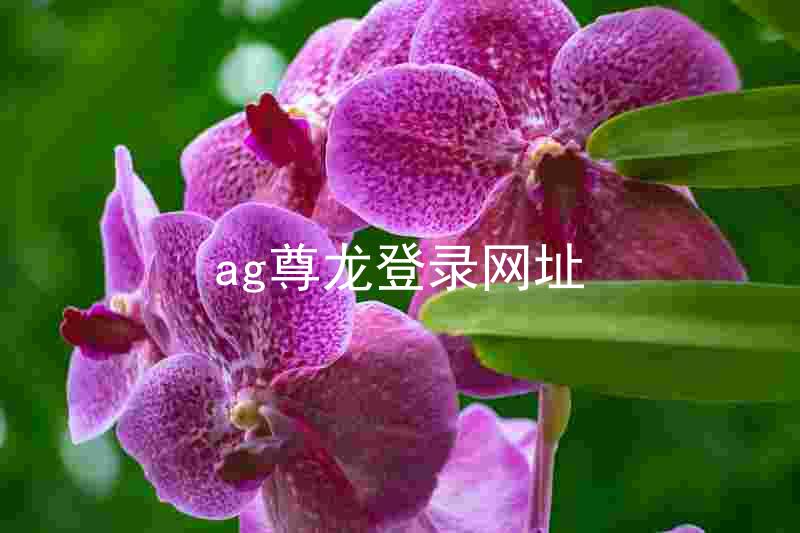 ag尊龙登录网址