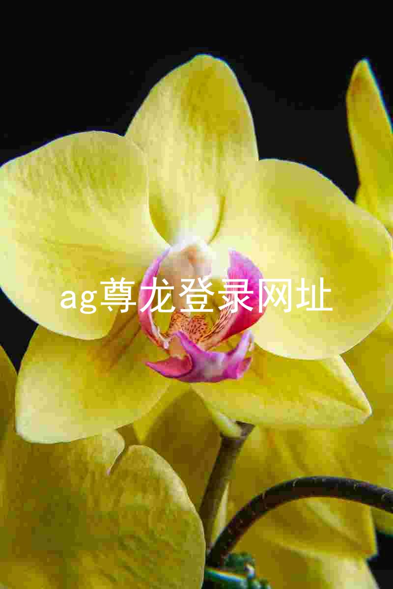 ag尊龙登录网址