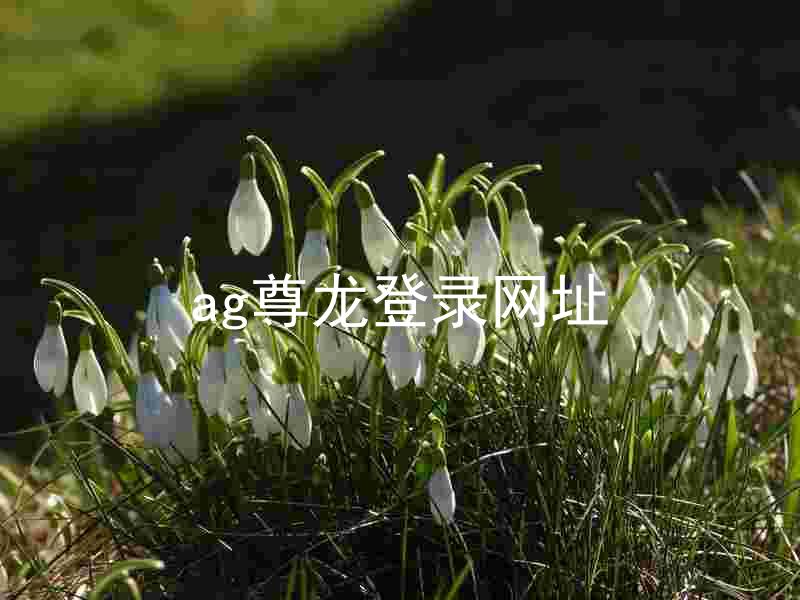 ag尊龙登录网址